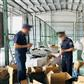 Quản lý hàng hoá mua gom từ cư dân biên giới